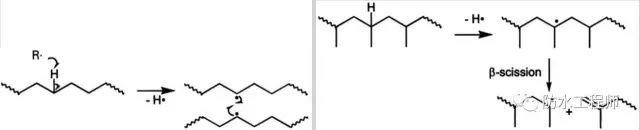 聚乙烯链段（左）和聚丙烯链段（右）不同倾向的自由基反应机理